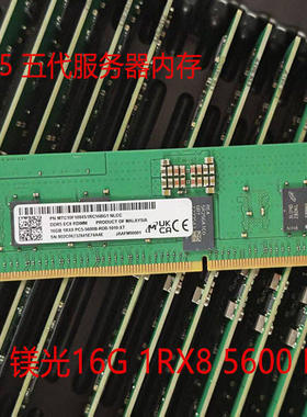 16G 1RX8 PC5-5600B 五代 DDR5  RDIMM服务器内存 ECC REG