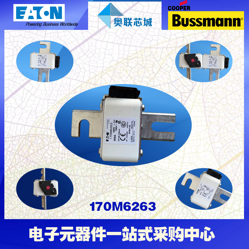 170M6265 170M6266 170M6267 170M626快速熔断器 电子元器件市场 集成电路（IC） 原图主图