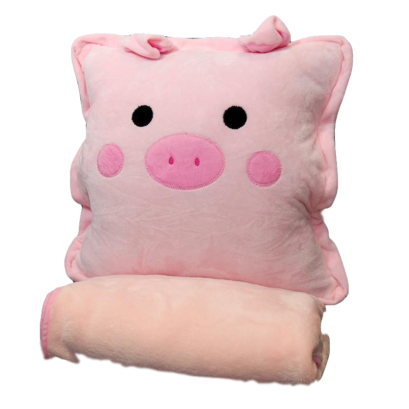 抱枕盖毯两用三合一少女拉链式实用毛毯大号加大小孩子可爱女生在类目 居家布艺, 靠垫/抱枕中 - 来自Buy2taobao.com提供专业的淘宝代购服务