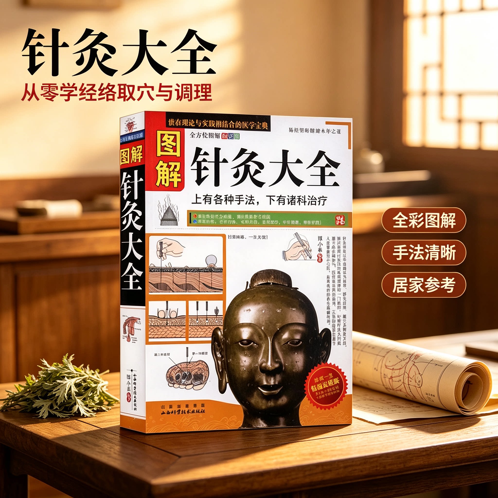 图解针灸大全 正版中医养生书籍 经络穴位图解 家用针灸入门参考书