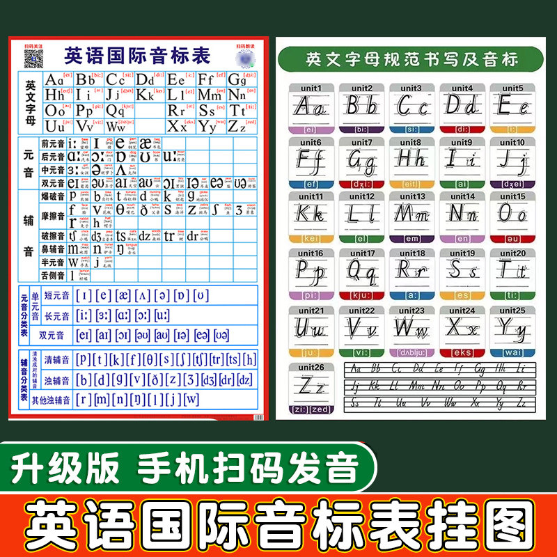 小学英语国际音标表卡片48个英语国际音标发音元音辅音英文字母