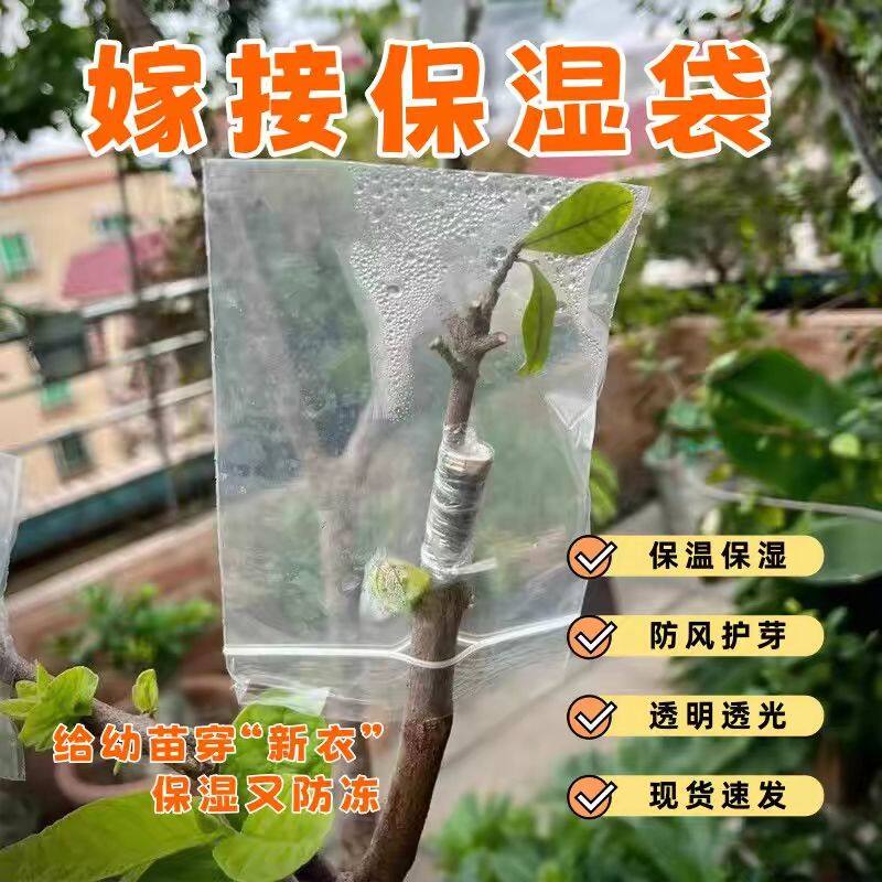 嫁接专用套袋嫁接专用套袋神器果树木植物防水风保温保湿缠绕膜自