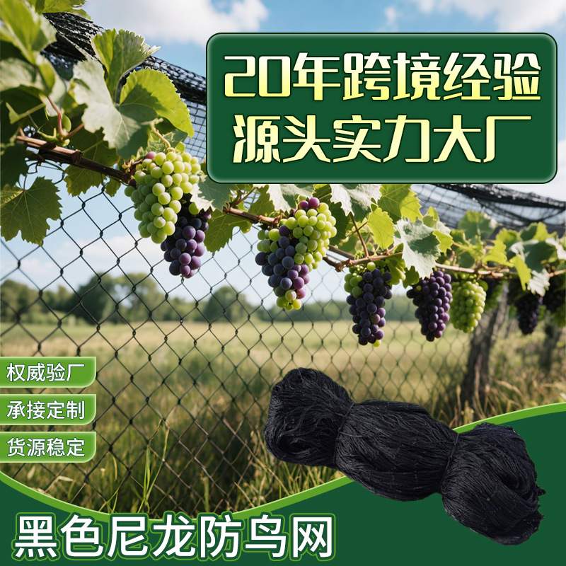 高强度黑色尼龙防鸟挡鸟拦鸟网果园葡萄防护网农业水产养殖池塘网
