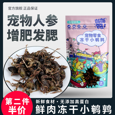 萌萌酷布偶猫增肥发腮宠物狗狗