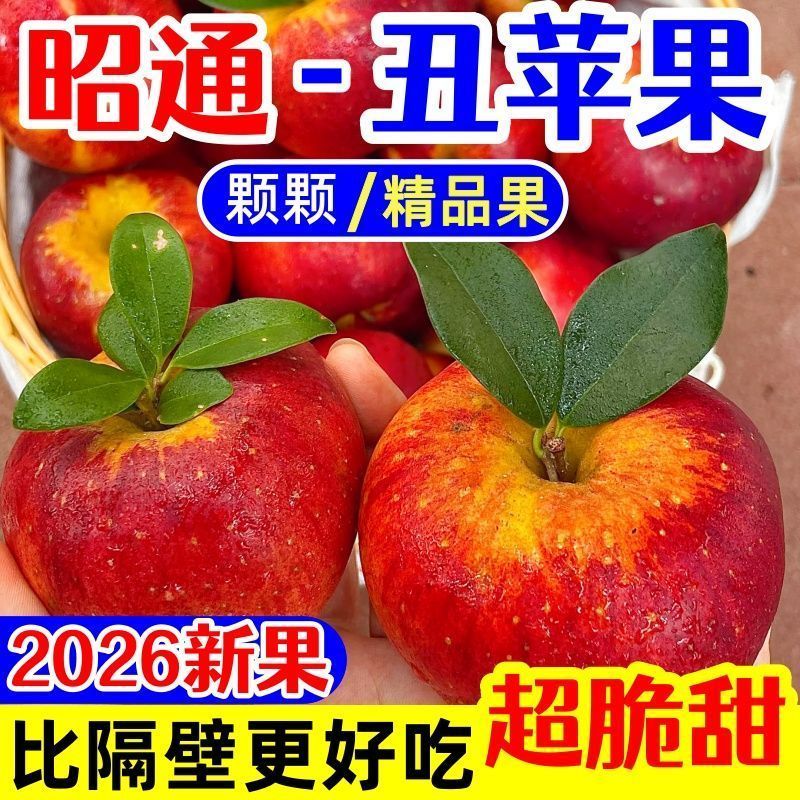 【2026现摘】云南昭通丑苹果高原丑苹果新鲜脆甜多汁9分甜1酸