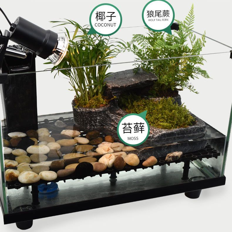 玻璃乌龟缸龟便分离生态带晒台别墅大型鱼龟共养乌龟专用缸小鱼缸