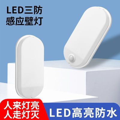 220v夜间人体自动感应灯