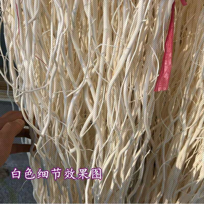 云龙柳装饰花多少钱 云龙柳装饰花优惠券免费领取 有条鱼