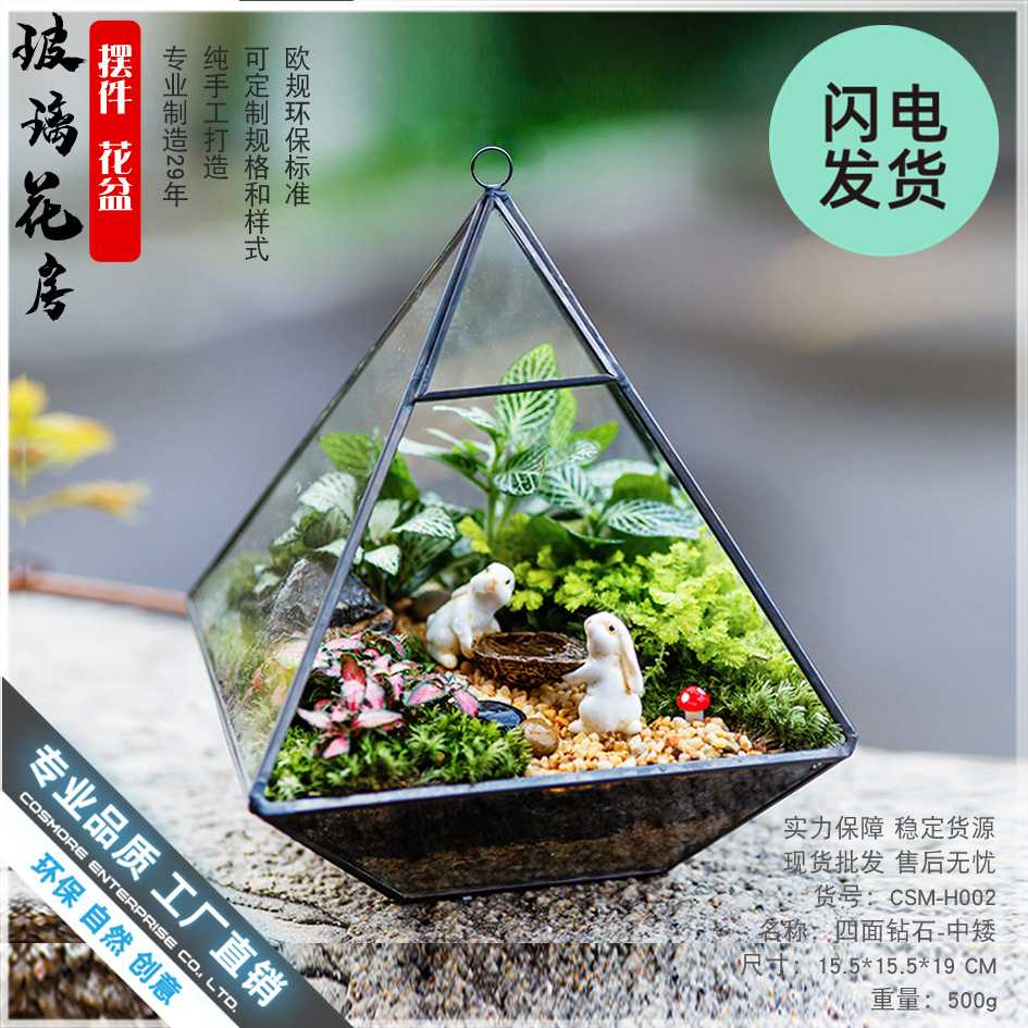 永生花玻璃罩礼盒家居器皿摆件玻璃花房苔藓微景观生态缸透明花盆