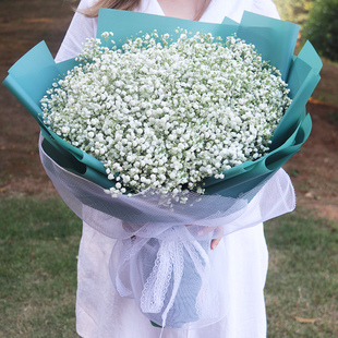 拉萨玫瑰混搭满天星花束礼盒鲜花速递同城城关区生日上门配送花店