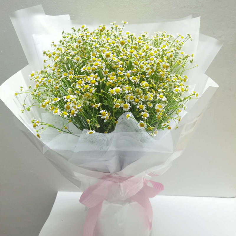 教师节洋甘菊混搭鲜花玫瑰向日葵同城速递南宁柳州生日毕业