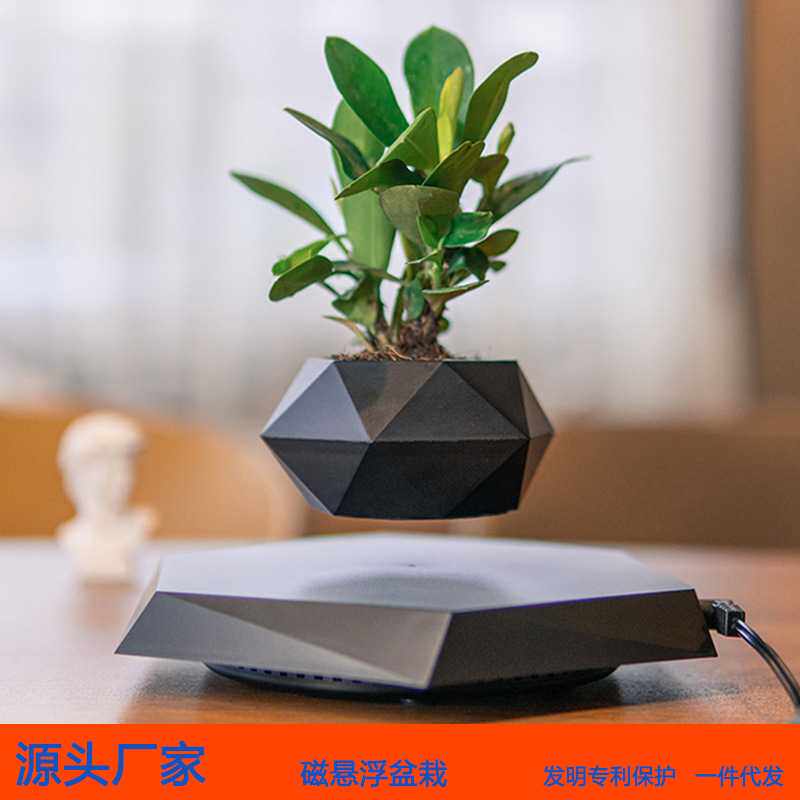 磁悬浮盆栽花盆空中创意盆景植物花卉奇特ins风家居办公摆件