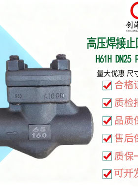 H61H DN25 PN160直通式高压铬不锈钢合金钢焊接止回阀耐受≤425℃