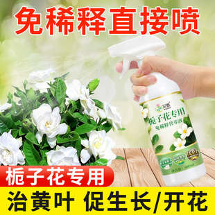 栀子花营养液免稀释栀子花肥料专用肥家用酸性花肥黄叶盆栽开花肥