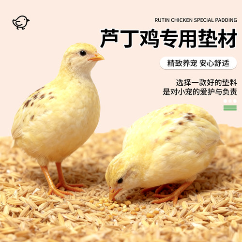 芦丁鸡垫料发酵床粪便小鸡垫料