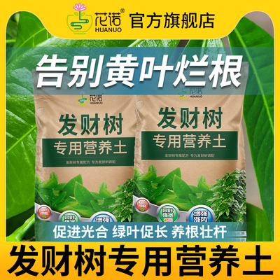 【亏本冲量】发财树专用营养土