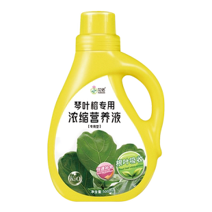 琴叶榕营养液花肥锈斑病黄叶落叶大琴叶榕肥料专用肥水溶液体肥