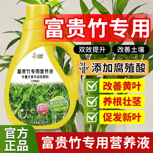 富贵竹专用营养液治叶子发黄转运竹节节高文昌竹水竹水培植物生根
