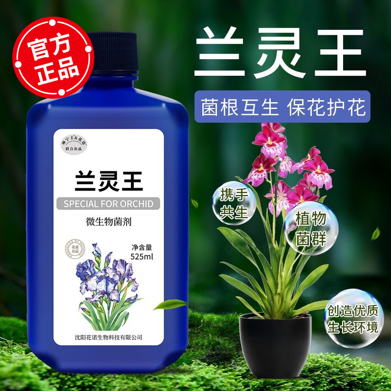 兰科植物专用微生物菌剂活化土壤