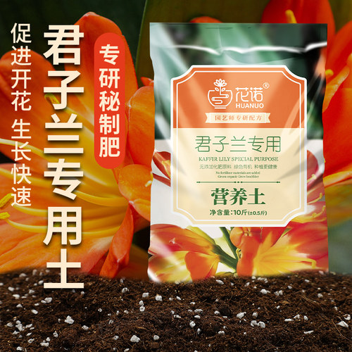 【兰友特惠】君子兰专用土壤搭配