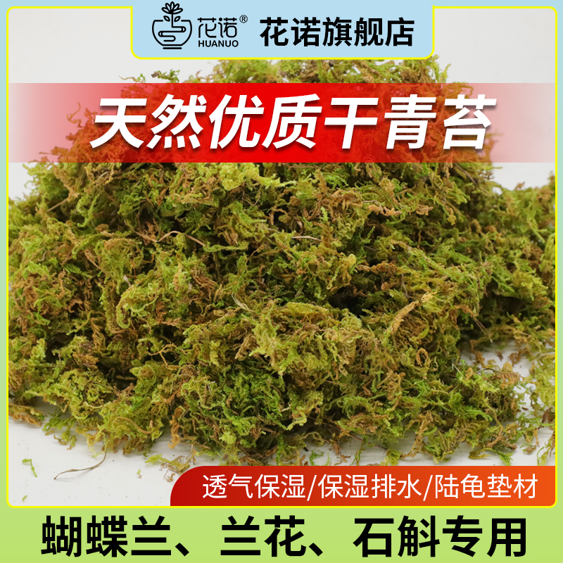 【亏本冲量】水苔蝴蝶兰专用青苔