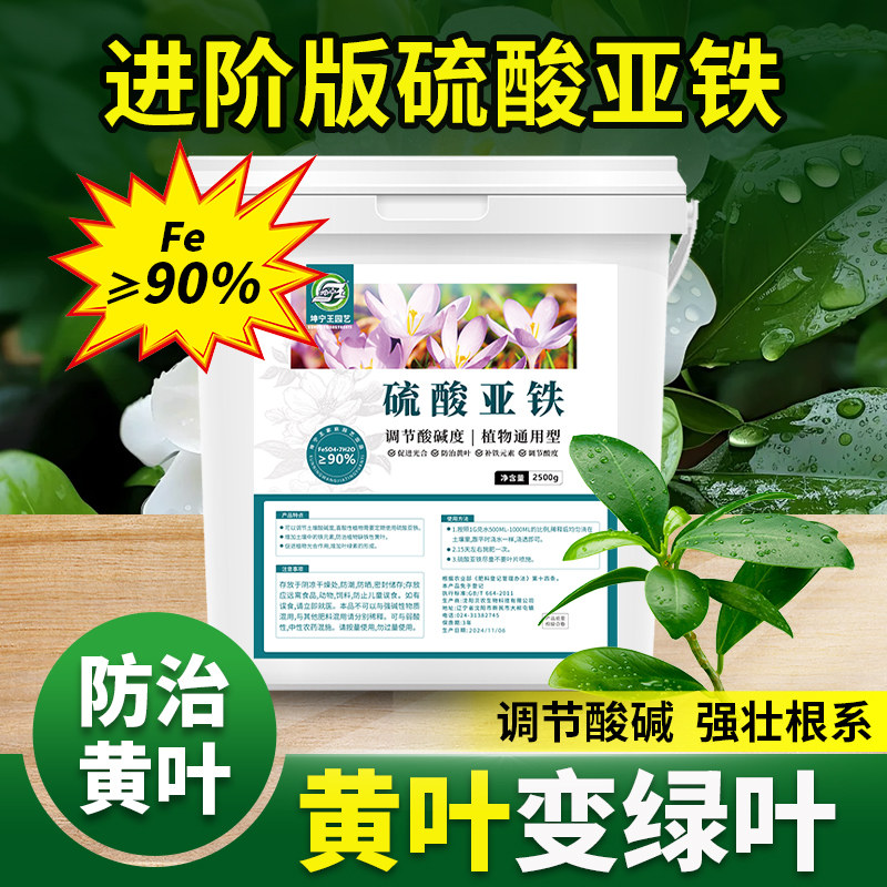 硫酸亚铁花肥料水溶肥栀子花专用肥喜酸植物花卉铁肥家用盆栽通用,鲜花速递/花卉仿真/绿植园艺,家庭园艺肥料,淘宝优惠券,粉丝福利购,淘宝优惠卷