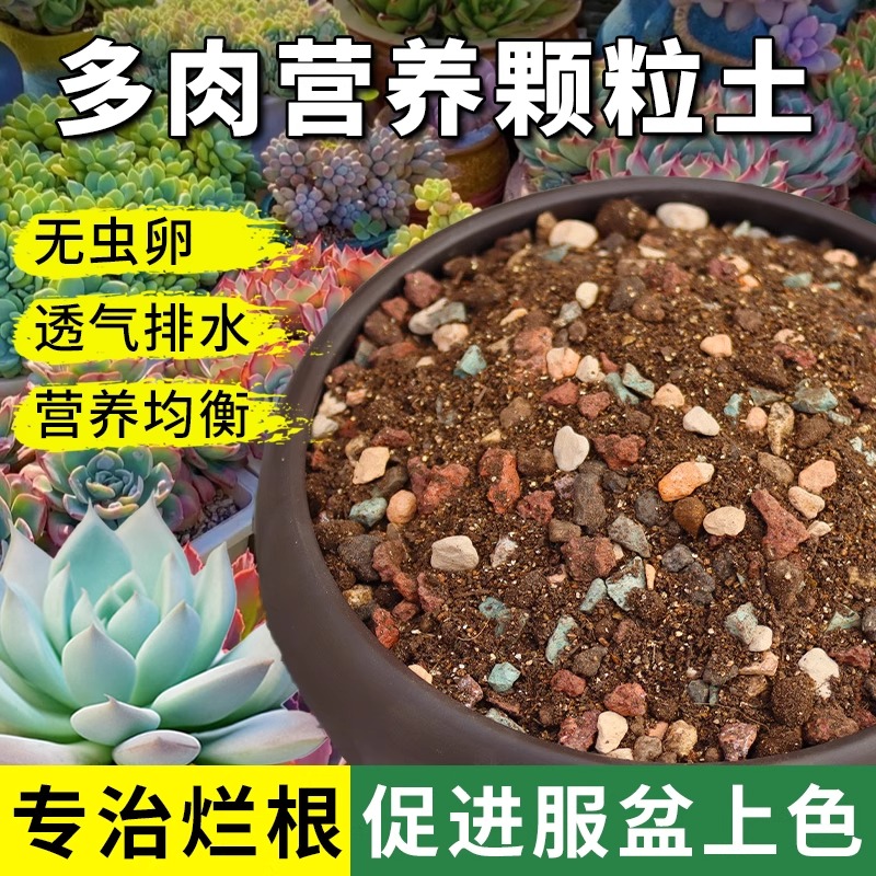 多肉专用颗粒土肉肉植物专用营养土透气疏松纯颗粒铺面土种植花土