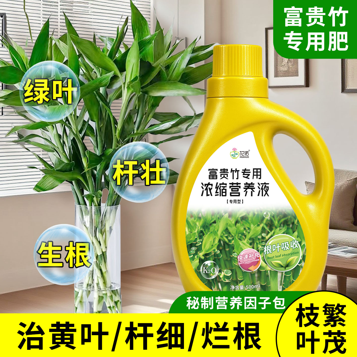 富贵竹专用营养液治叶子发黄