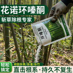 环嗪酮哃烂根除竹子大灌木树专用药强力腐树根正品烂根剂除草剂