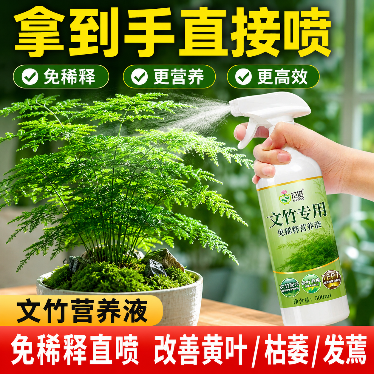 文竹营养液治黄叶花肥云竹专用肥料云松水培盆栽免稀释液体肥养护