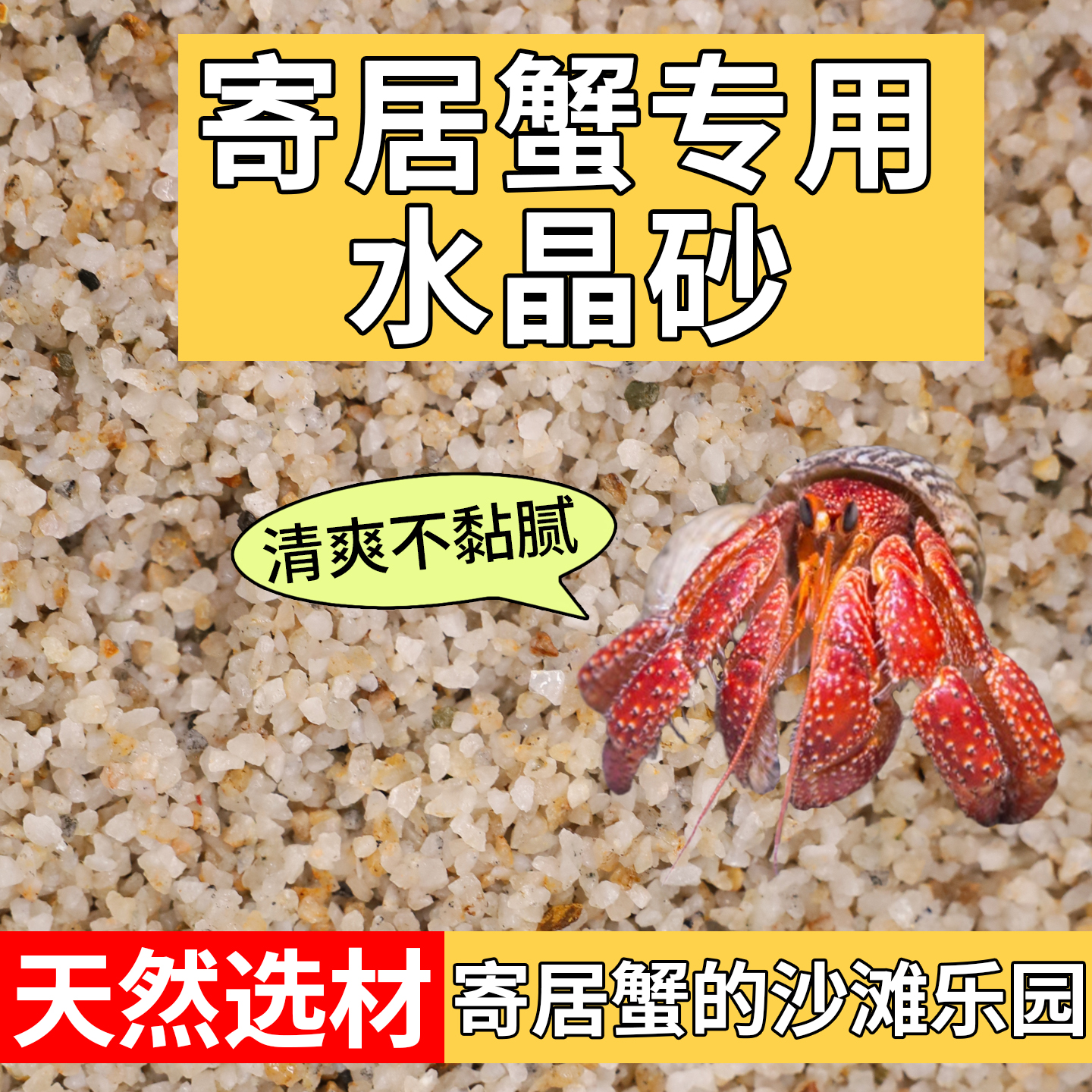 造景装饰乌龟铺面通用水晶砂