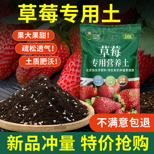 草莓专用营养土阳台草莓肥料专用肥草莓土盆栽草莓苗土壤种植土
