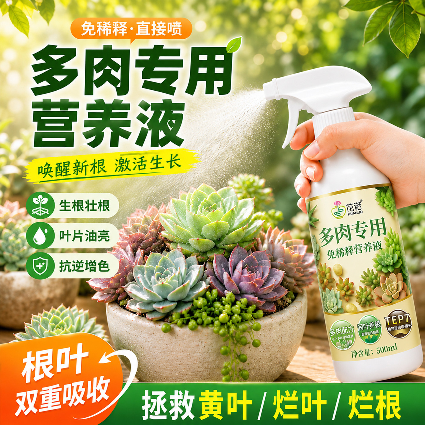 免稀释多肉营养液专用营养液专用肥即喷花肥料肉肉植物家用通用型图片