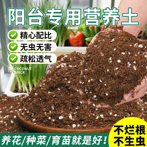 营养土有机营养土家庭阳台养花种