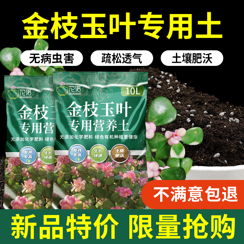 金枝玉叶营养土专用土疏松无虫
