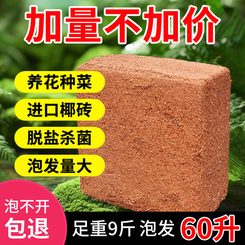 【特价冲量】椰砖大块低盐高泡发