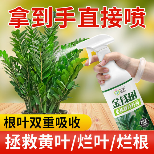 花诺金钱树免稀释营养液专用肥料