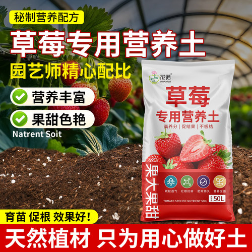草莓专用土营养土瓜果蔬菜通用土阳台种草莓专用有机腐殖土泥炭土