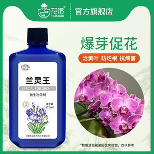 兰灵王兰花专用肥蝴蝶兰君子兰肥料兰科专用菌兰花营养液黄叶克星