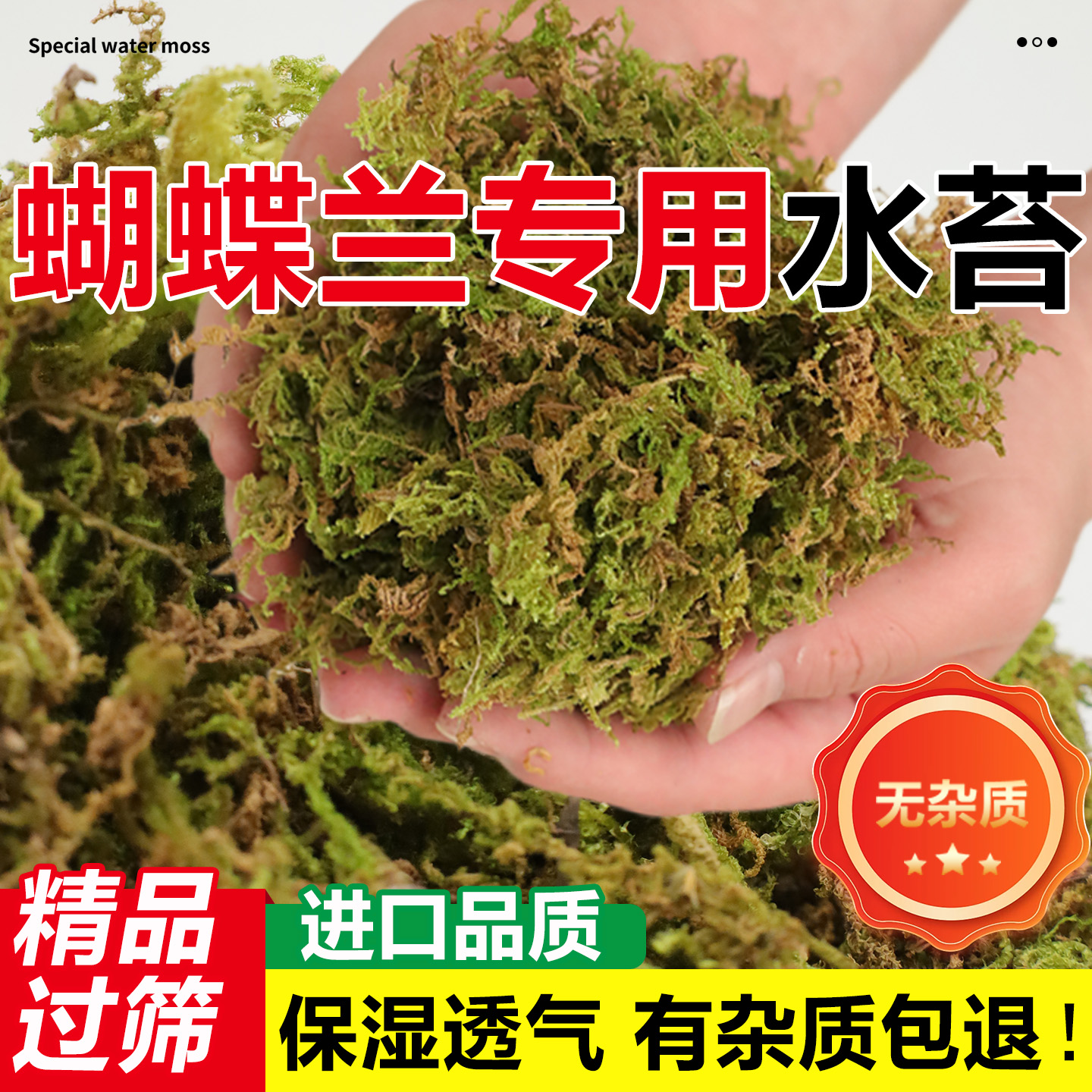 水苔蝴蝶兰专用营养土干苔藓