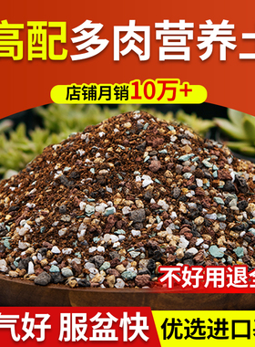 多肉颗粒土专用营养土植物泥炭种植土壤肉肉叶插小苗老桩颗粒花土