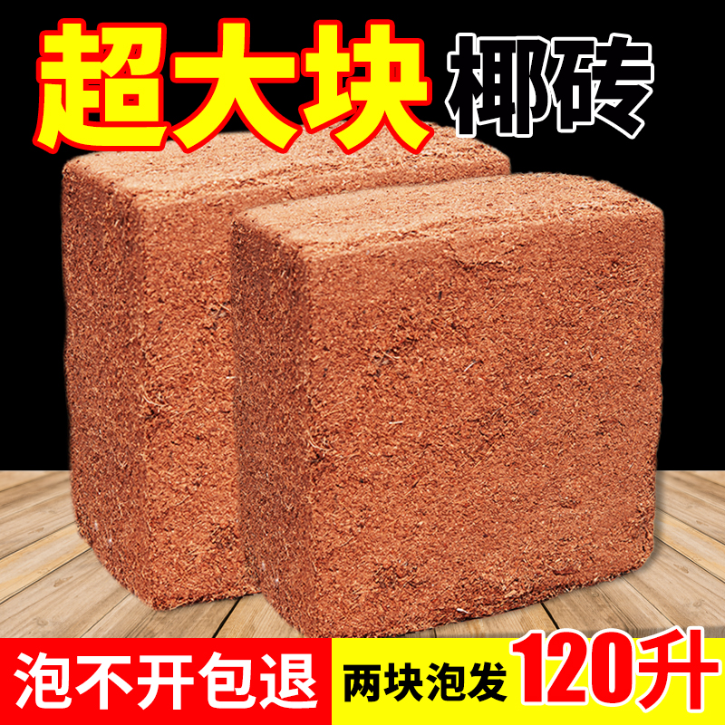 进口大椰砖椰糠椰土种菜种花专用