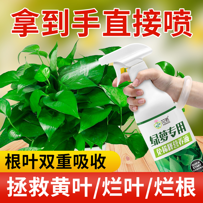 花诺免稀释营养液专用肥料治黄叶