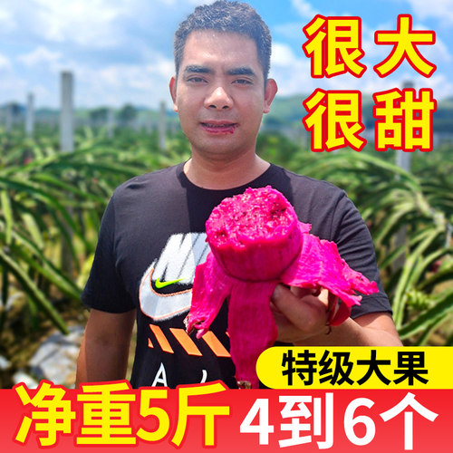 广西红心火龙果新鲜包邮蜜