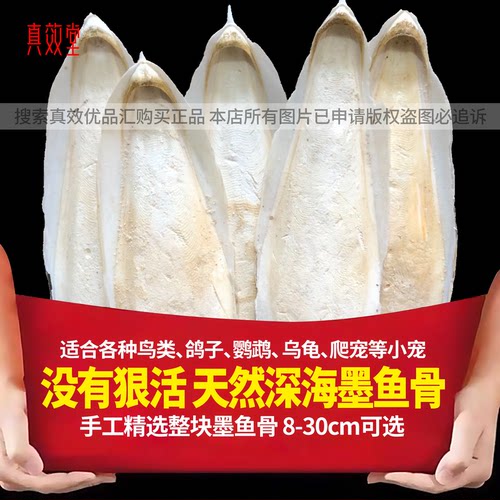 磨牙鹦鹉专用乌龟八哥鸽子