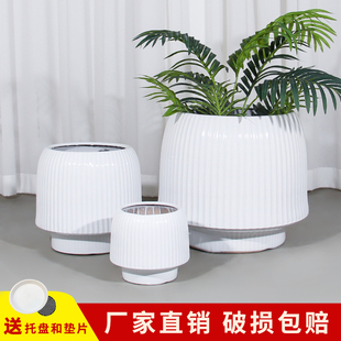 陶瓷花盆龙血树专用盆家用简约北欧客厅花卉盆栽专用大口径花盆