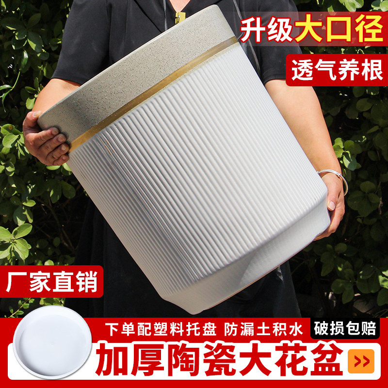 新款欧式简约圆柱陶瓷大花盆
