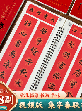 视频版 赵孟頫行楷集字春联118副随身近距离临摹练字卡行楷书毛笔书法字帖 春节对联楹联福字春字吉语合体字合集写春联一本就够