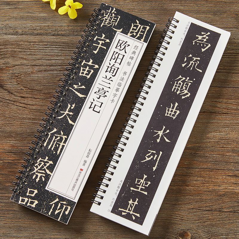 欧阳询兰亭记经典碑帖书法临摹字卡全文原大版近距离高清临帖卡原帖欧体兰亭序楷书毛笔书法字帖成人初学者临摹卡黑龙江美术出版社