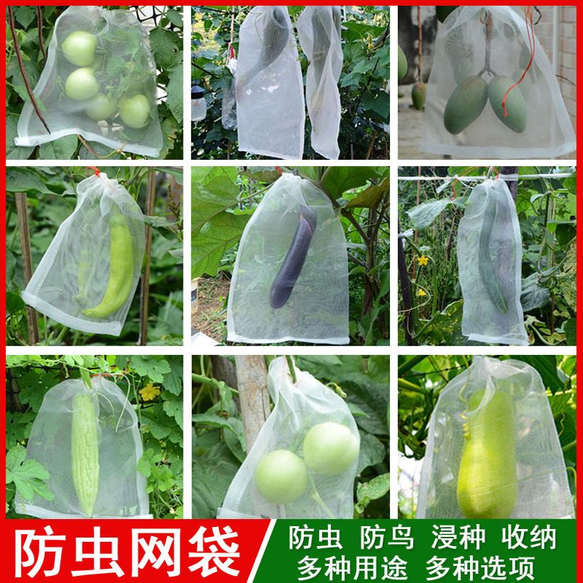 水果防虫网兜防鸟尼龙过滤纱网袋